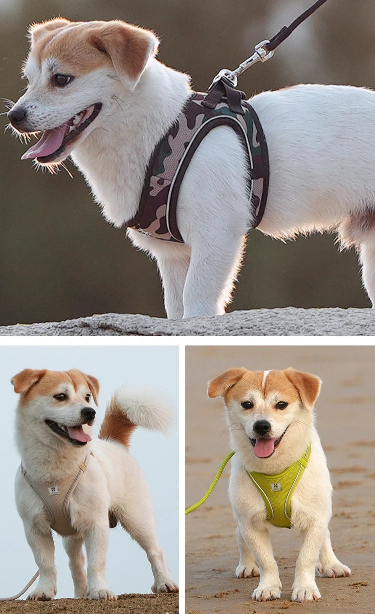 Small Combination - Reflecterende Set met Instaptuigje en Handsfree Riem